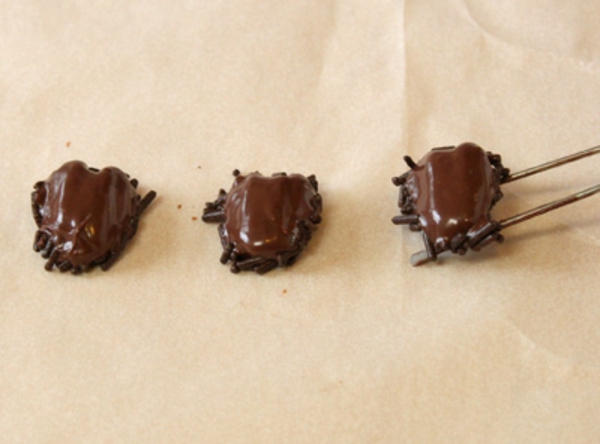 chocolate-cockroaches-recipe-5.jpg