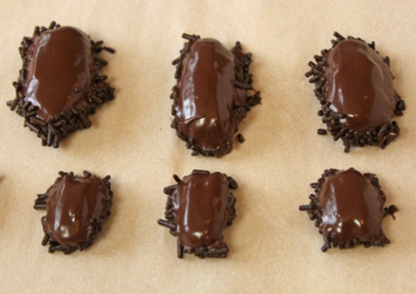 chocolate-cockroaches-recipe-6.jpg