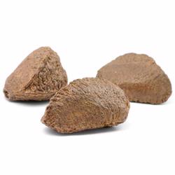 Passover Brazil Nuts In Shell