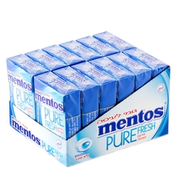 Mentos Sugar Free Pure Fresh Gum - Mint - 12CT