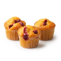 Passover Cranberries Cupcake Muffins - 6CT