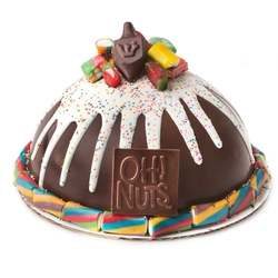 Hand Made Dome Hanukkah Belgian Chocolate & Candies SMASH CAKE
