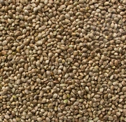 Roasted Hemp Seeds