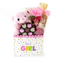 Baby Girl Teddy Bear Chocolate Basket