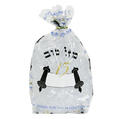Bar Mitzvah Torah Bags