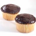 Passover Cup Cakes - 6CT Box