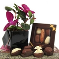 Milk Chocolate Planter Combo - Israel Only