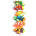 Fish Kabob Jelly Lolly - 6-Pack