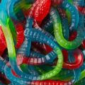 Kosher Rattle Snakes Gummies - 10oz Box