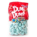 Blue Raspberry Dum Dum Pops - 75CT