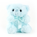 Baby Blue Teddy Bear