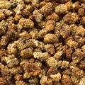 Dried Mulberries - 1/2 LB Bag