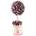 Baby Girl Pink Candy Round Topiary