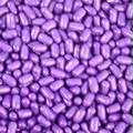 Purple Candy Coated Licorice Mini's