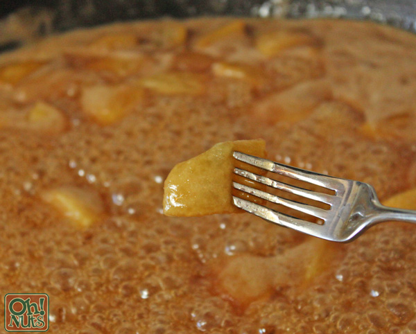 Honey Cake Skewers with Honey Caramel Sauce for Rosh Hashanah  - OhNuts.com 
