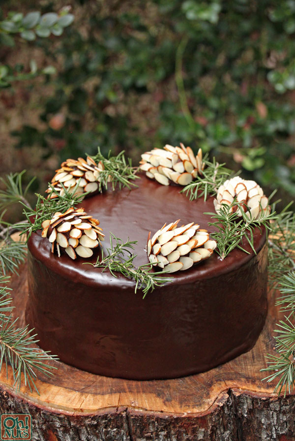 How to Make Chocolate Pine Cones | OhNuts.com