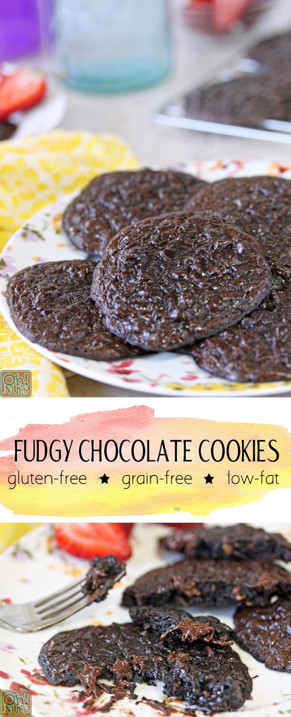 Fudgy Chocolate Passover Cookies - Gluten-Free, Grain-Free, Low-Fat Option! | From OhNuts.com