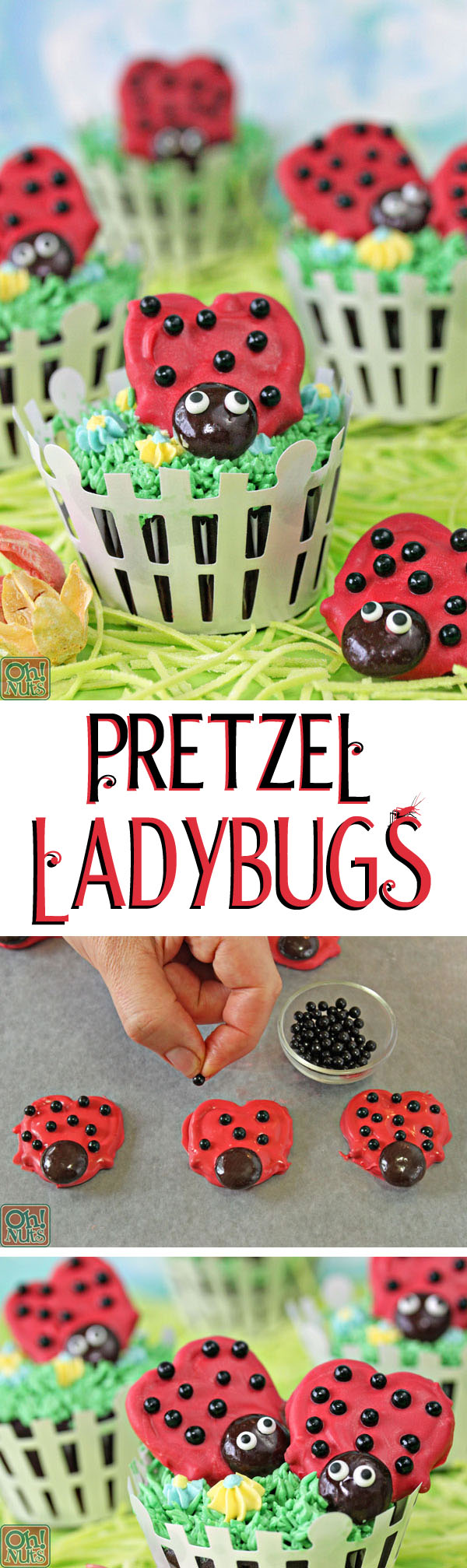 Pretzel Ladybugs | From OhNuts.com