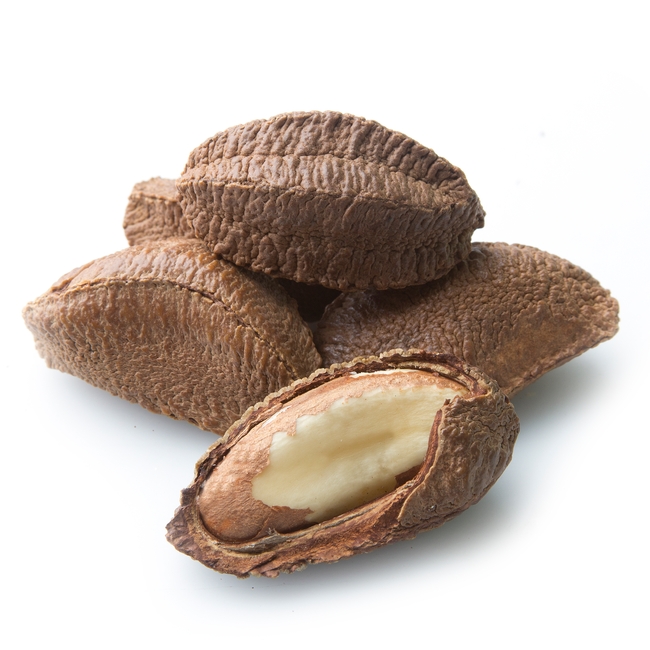 where to buy brazil nuts online - Partner Up Web Log Bildergallerie