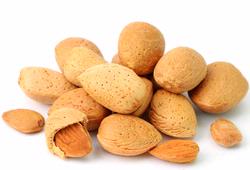 Raw Almonds in Shell