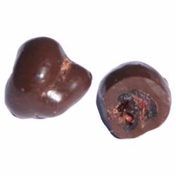 Passover Chocolate Covered Cranberries