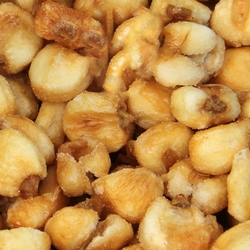 Toasted Unsalted Corn Nuts