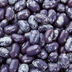 Jelly Belly Blue Speckled Jelly Beans - Plum