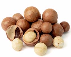 Macadamia Nuts in Shell