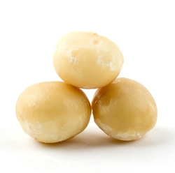 Passover Roasted Salted Macadamia Nuts 
