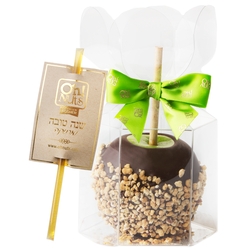 Chocolate Dipped Apple With Honey Straw