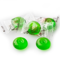 Passover Sugarless Hard Candy Discs - Mint