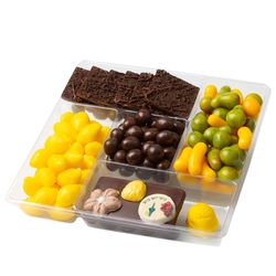 Sukkot 5 Section Chocolate & Candy Gift