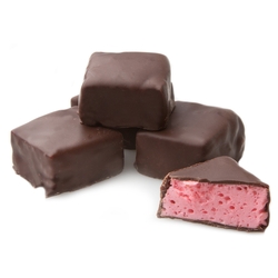 Passover Raspberry Marshmallow Dark Chocolate Squares