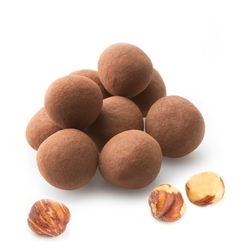 Passover Cocoa Chocolate Covered Hazelnuts