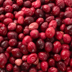 Freeze Dried Cranberries - 2oz Bag