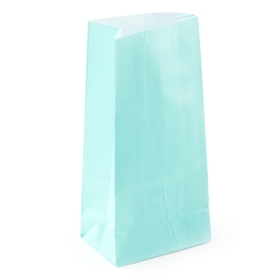 Robins Egg Paper Treat Bags - 12CT