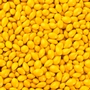 Golden Yellow Chocolate Covered Sunflower Seeds