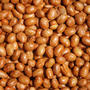 Roasted Salted Soy Nuts