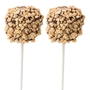 Chocolate Dipped Marshmallow Pop - Nuts