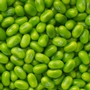 Jelly Belly Bright Green Jelly Beans - Kiwi