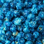 Navy Blue Candy Coated Popcorn - Blueberry