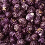 Purple Candy Coated Popcorn - Grape