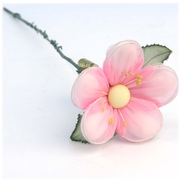 Baby Pink Jordan Almond Flower with Stem