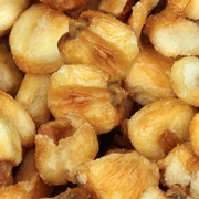 Jumbo Toasted Salted Corn Nuts