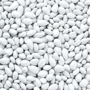 White Chocolate Covered Sunflower Seeds