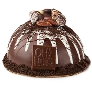 Dome Belgian Chocolate & Nuts cake