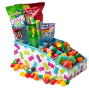 Camp Packages - Gummy Bear Orginizer Kids Gift Pack
