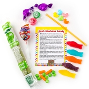 Passover Educational Candy Pack / Jewish Holiday Candy Subscription