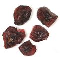 Passover Dried Cranberries