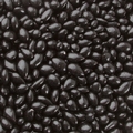 Black Chocolate Covered Sunflower Seeds